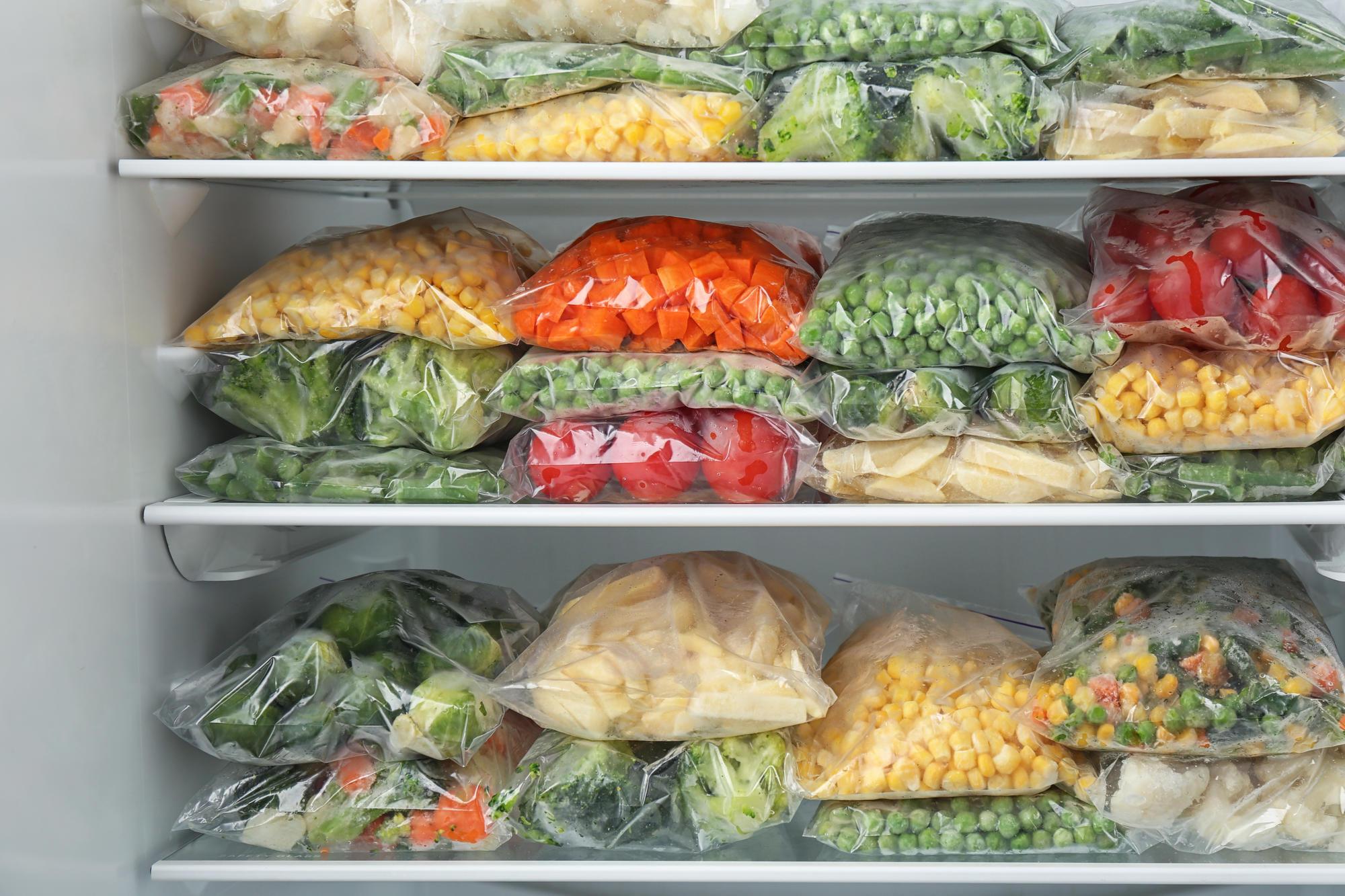 Frozen Storage: Ensuring Long-Term Preservation and Cold Chain Excellence